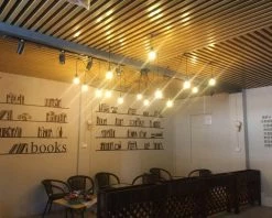 Vakkerlight Spider Ceiling Chandelier