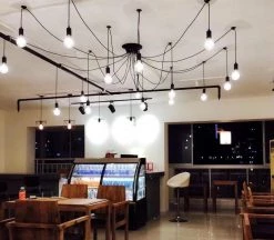 Vakkerlight Spider Ceiling Chandelier