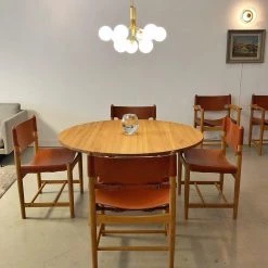 Vakkerlight Apiales Chandeliers