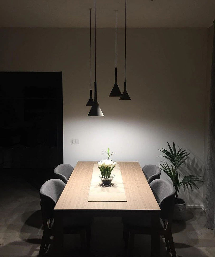 Vakkerlight Aplomb Pendant Lamp