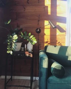 Vakkerlight Wall Sconces Birdy Wall Lamp