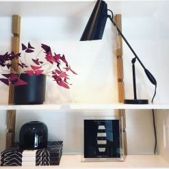 Vakkerlight Birdy Table Lamp