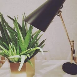 Vakkerlight Birdy Table Lamp