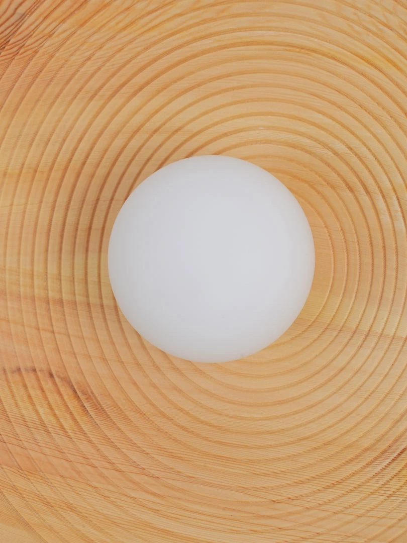 Vakkerlight Annual Ring Wall Lamp Wall Sconces