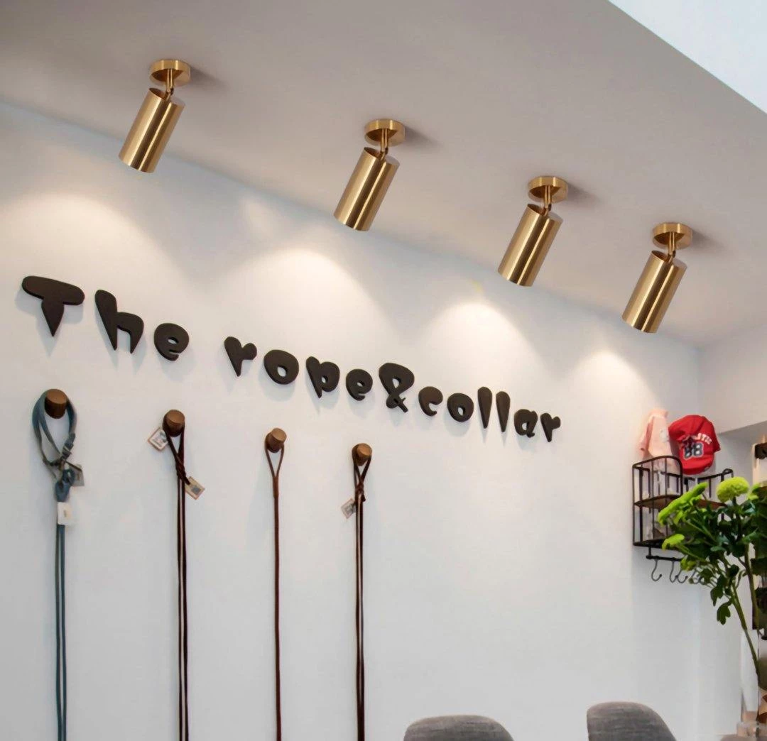 Vakkerlight Cylinder Brass Series Bedroom