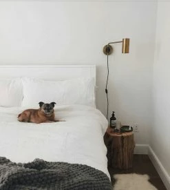 Vakkerlight Envoy Swing Sconce Wall Sconces