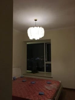 Vakkerlight Pendant Lights Feather Pendant Lamp