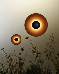 Vakkerlight Ginger Wall Light Wall Sconces