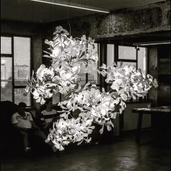 Vakkerlight Chandeliers Gingko Cluster Chandelier F