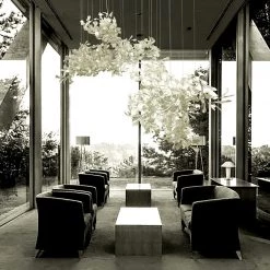 Vakkerlight Gingko Combination Chandelier C Chandeliers