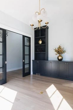 Vakkerlight Chandeliers Gooseneck Chandelier