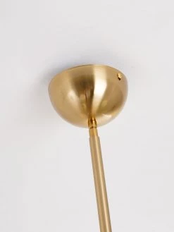 Vakkerlight Chandeliers Gooseneck Chandelier