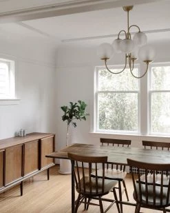 Vakkerlight Chandeliers Gooseneck Chandelier