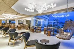 Vakkerlight Hanami Suspension Lamp Pendant Lights