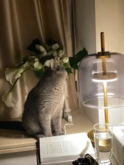 Vakkerlight Table Lamps Jujube Table Lamp