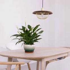 Vakkerlight Pendant Lights Kasa Pendant Lamp