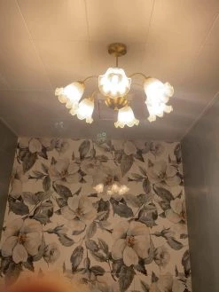 Vakkerlight Lily Chandelier