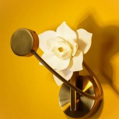 Vakkerlight Lure Sconce Wall Sconces