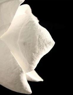 Vakkerlight Lure Sconce Wall Sconces