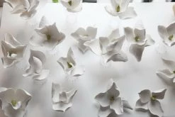 Vakkerlight Lure Sconce Wall Sconces