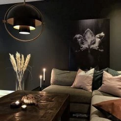 Vakkerlight Deformed Ball Pendant Light Pendant Lights