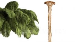 Vakkerlight Ostrich Feather Chandeliers