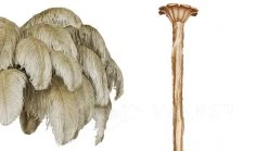 Vakkerlight Ostrich Feather Chandeliers