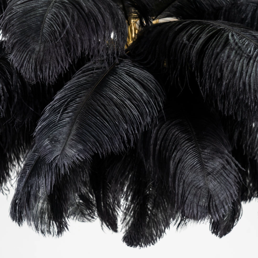 Vakkerlight Ostrich Feather Chandeliers