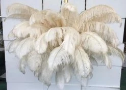Vakkerlight Ostrich Feather Chandeliers
