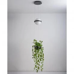 Vakkerlight Palma Suspension Lamp Pendant Lights