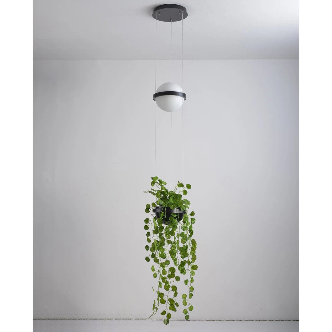 Vakkerlight Palma Suspension Lamp Pendant Lights