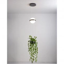 Vakkerlight Palma Suspension Lamp Pendant Lights