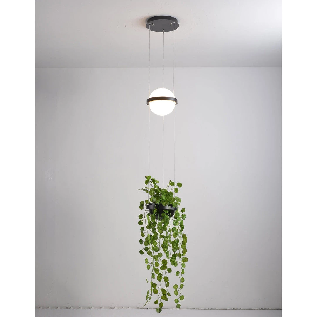 Vakkerlight Palma Suspension Lamp Pendant Lights