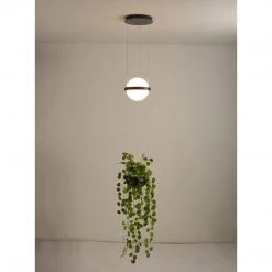 Vakkerlight Palma Suspension Lamp Pendant Lights