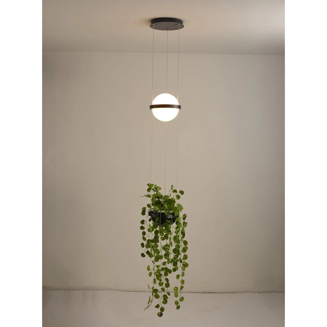 Vakkerlight Palma Suspension Lamp Pendant Lights