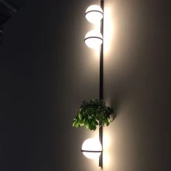 Vakkerlight Palma Wall Lamp
