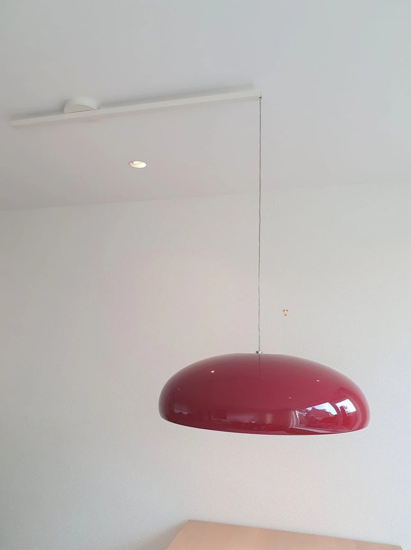 Vakkerlight Pangen Pendant Lamp