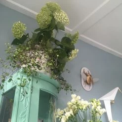 Vakkerlight Perching Bird Wall Lamp