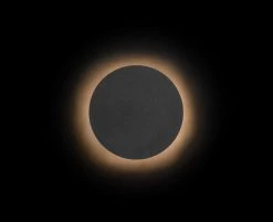 Vakkerlight Wall Sconces Pin Wall Lamp