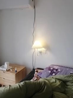 Vakkerlight Plug-in Wall Light