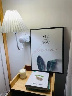 Vakkerlight Plug-in Wall Light