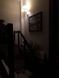 Vakkerlight Plug-in Wall Light