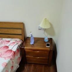 Vakkerlight Plug-in Wall Light