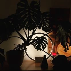 Vakkerlight Bedroom Portal Table Lamp