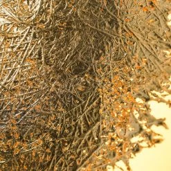 Vakkerlight Wall Sconces PostKrisi Wall Lamp