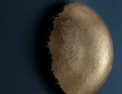 Vakkerlight Wall Sconces PostKrisi Wall Lamp