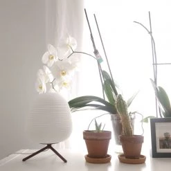 Vakkerlight Rituals Table Lamp Bedroom