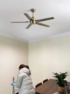 Vakkerlight Ceiling Lamp Rozzen Ceiling Fan