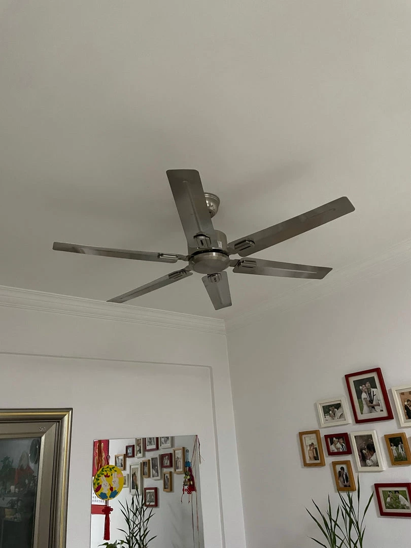 Vakkerlight Ceiling Lamp Rozzen Ceiling Fan