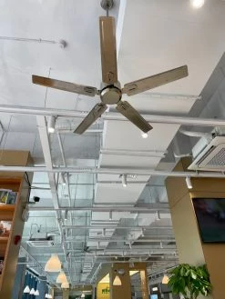 Vakkerlight Ceiling Lamp Rozzen Ceiling Fan